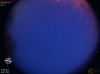 04:21:31 (*781)