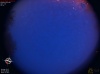 04:22:18 (*660)