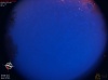 04:23:55 (*717)