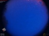 04:24:42 (*761)