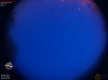 04:25:32 (*775)