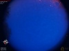 04:26:19 (*888)