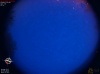 04:27:08 (*1081)