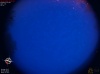 04:27:57 (*1421)