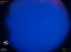 04:28:44 (*1338)