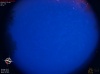 04:29:33 (*1112)