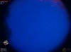 04:30:21 (*1031)