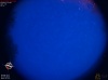 04:31:08 (*993)