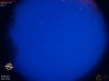 04:31:57 (*1186)