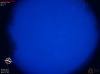 04:39:04 (*1182)