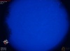 04:39:52 (*1135)