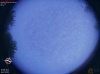 05:17:24