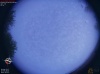 05:18:58