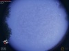 05:23:39
