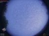 05:26:47