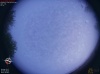 05:29:07