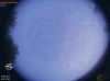 05:29:54