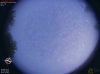 05:32:15