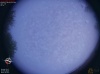 05:36:56
