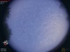 06:05:03