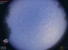 06:07:24