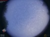 06:08:58