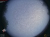 06:13:39