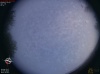 06:15:59