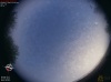 06:23:01