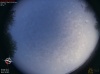 06:24:35