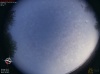 06:33:11