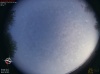 06:33:57