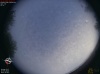 06:40:12