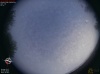 06:40:59