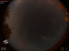 22:19:59 (*261)