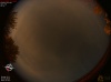 01:13:56 (*93)