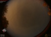 02:36:12 (*81)