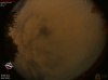 02:19:14 (*27)