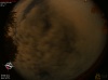 02:27:04 (*33)