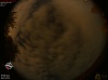 02:28:37 (*53)