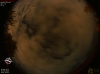 03:02:18 (*23)