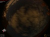 03:14:50 (*211)