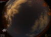 03:19:31 (*244)