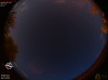 03:41:28 (*534)