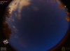 03:48:31 (*411)