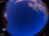 04:01:51 (*348)