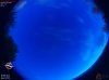 04:20:37 (*61)