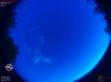 04:35:54 (*84)