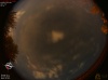 01:19:55 (*138)