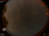 02:26:31 (*203)